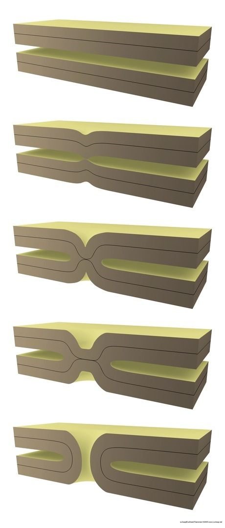 Lipid Mesh