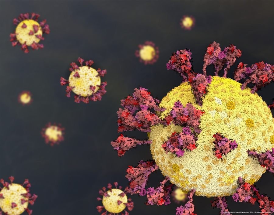 SARS-CoV-2 Several Viruses