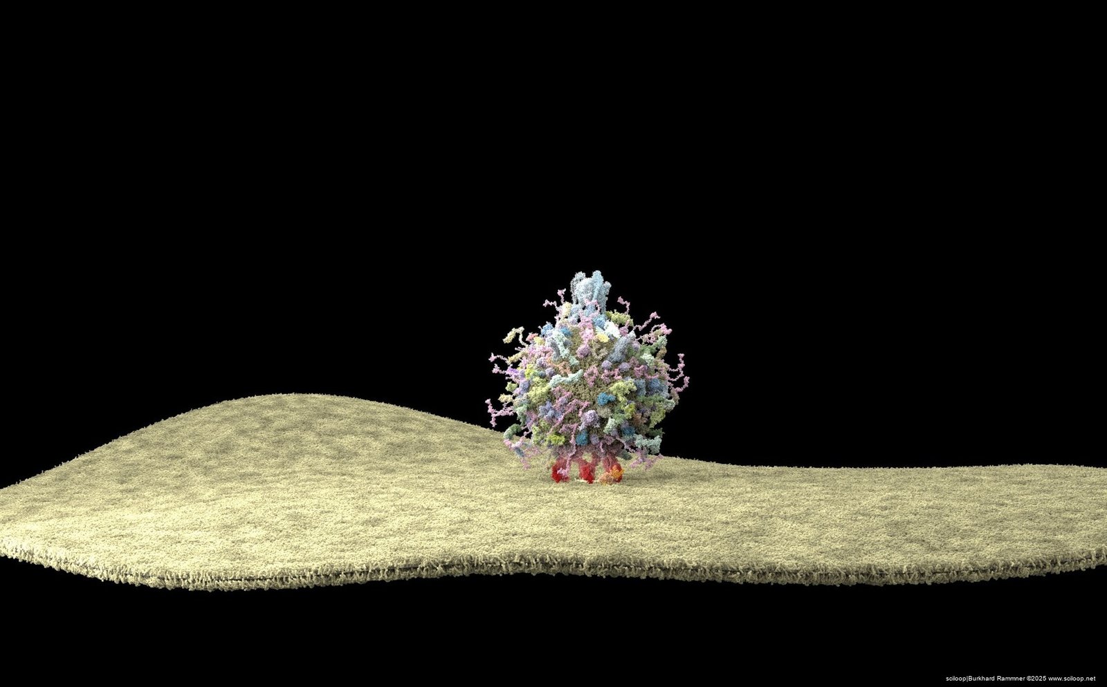 Vesicle Landscape